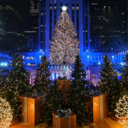 Christmas Celebrations