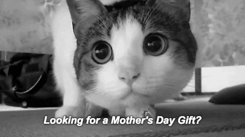 mothers day gift ideas