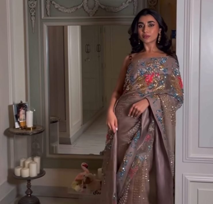 Muse Luxe Saree