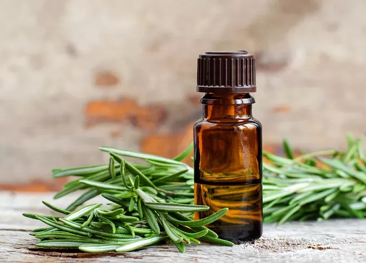 Rosemary Oil