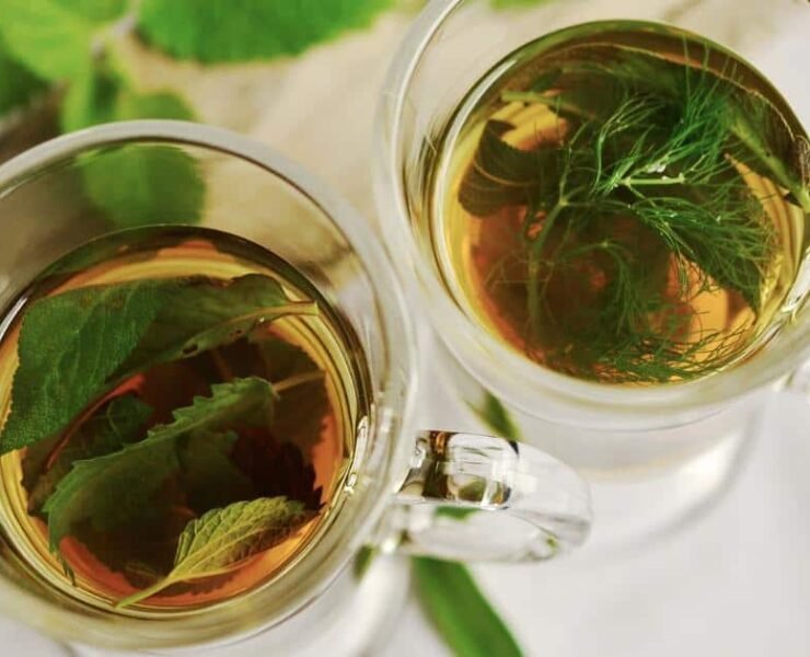 Green Tea Can Revive Damaged Hair