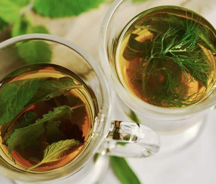 Green Tea Can Revive Damaged Hair