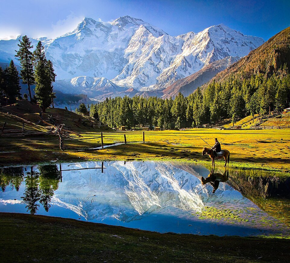 Fairy Meadows
