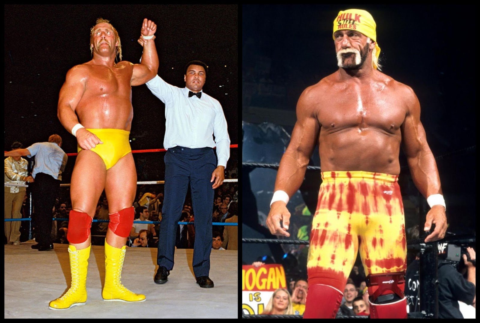 Hulk Hogan