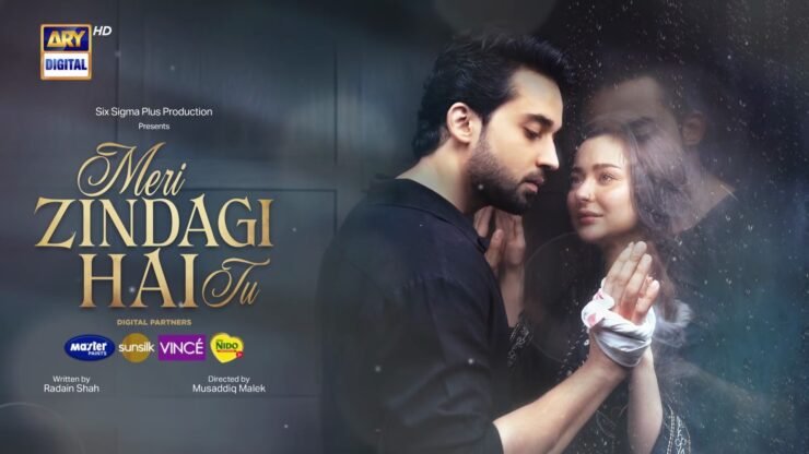 Meri-Zindagi-Hai-Tu