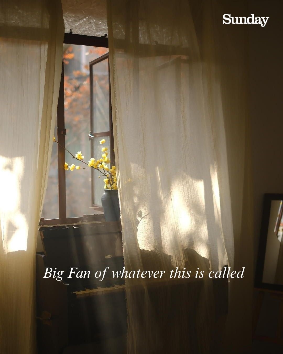 Curtains, Piano & Morning Stillness