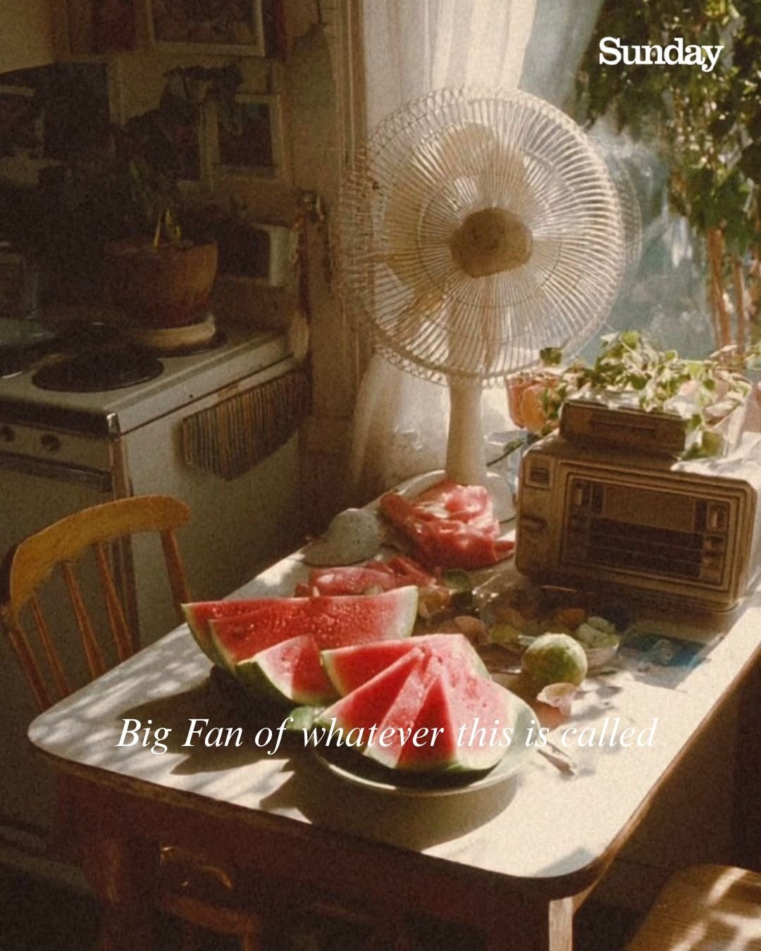 Summer Light & Quiet Kitchen