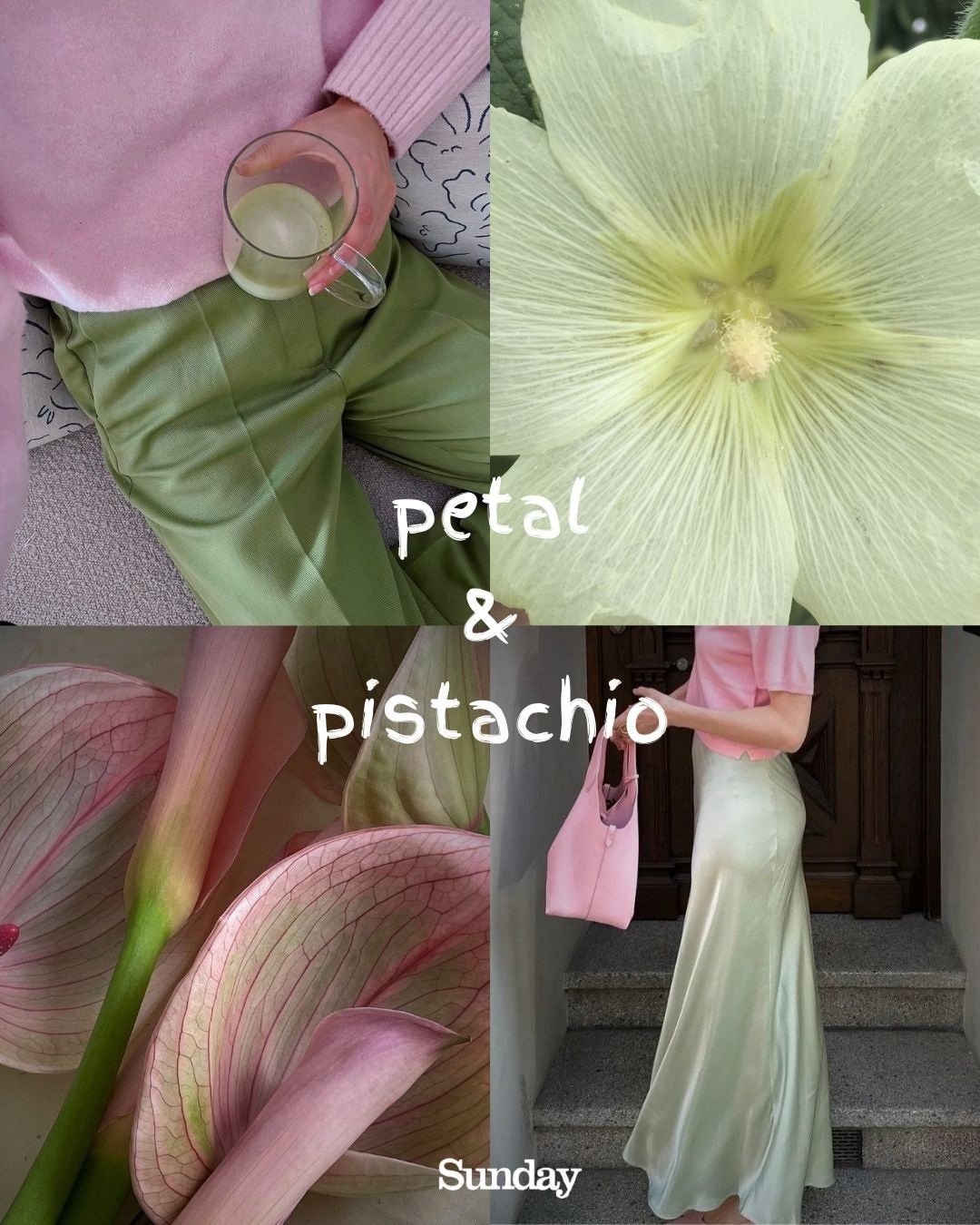 Petal & Pistachio