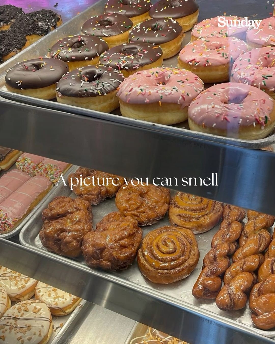 Sweet Donuts Fresh from the Bakery